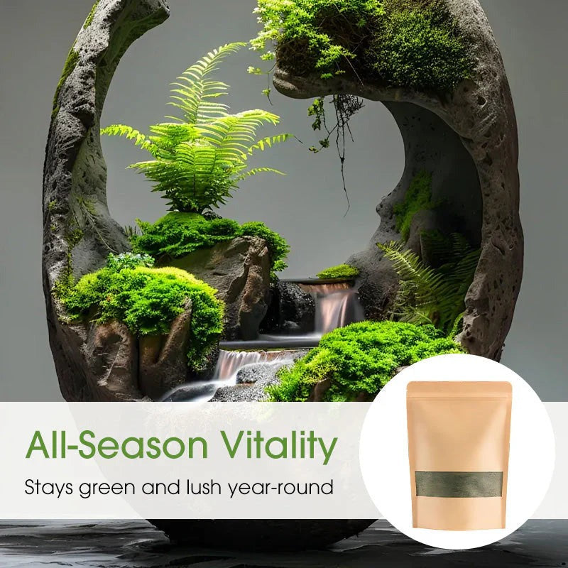 Premium-Grade Moss Spore Powder |š„Free Plant Growth Supplementš„